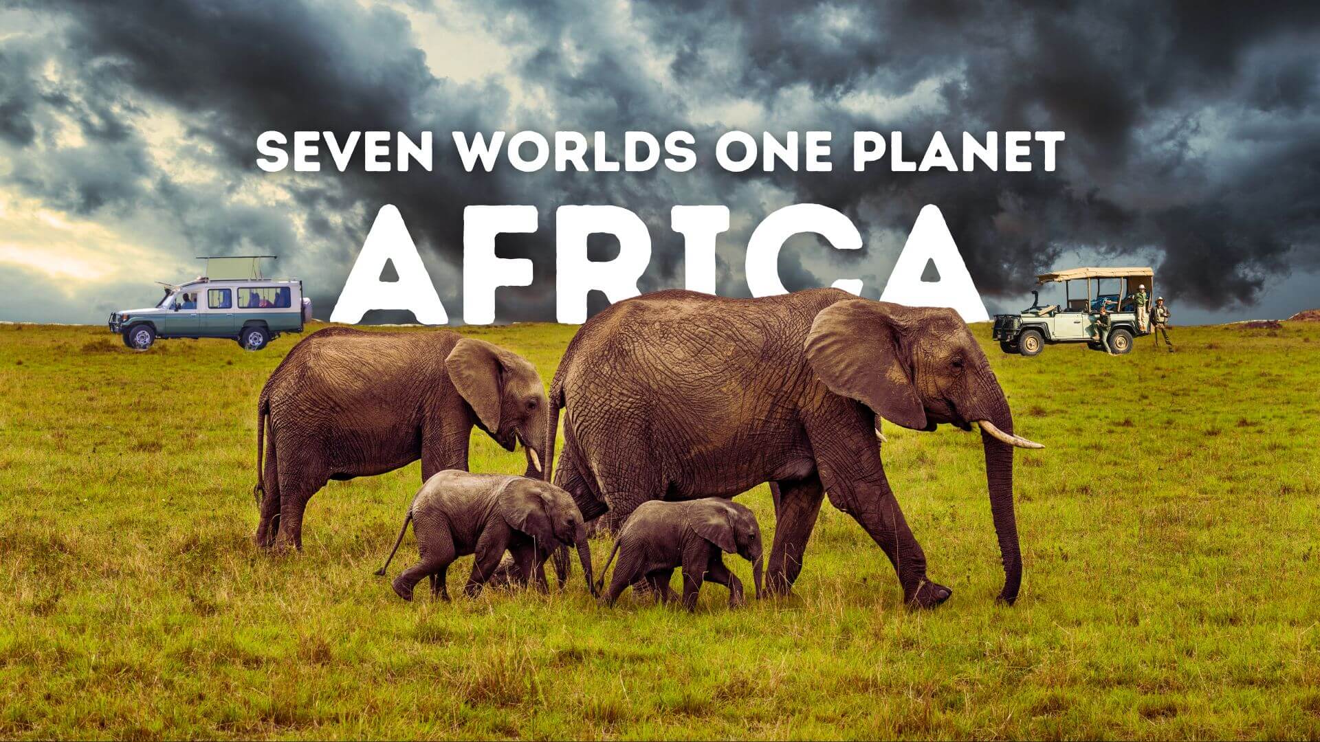 Planning A Holiday To Africa: A Comprehensive Guide